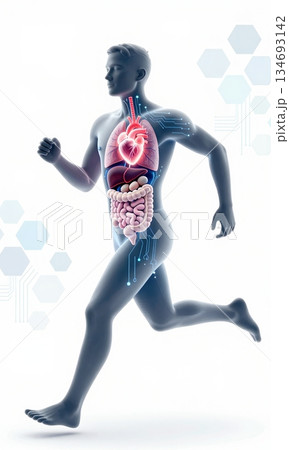 Futuristic 3D Illustration of Running Human Body with Glowing Organs and Digital Interface. 134693142