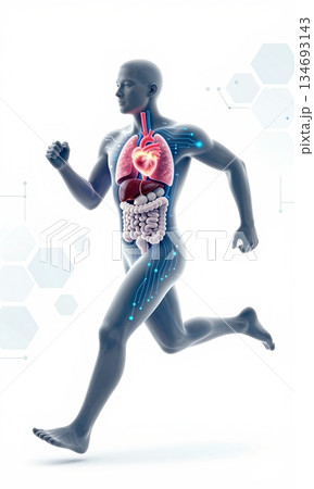 Futuristic 3D Illustration of Running Human Body with Glowing Organs and Digital Interface. 134693143