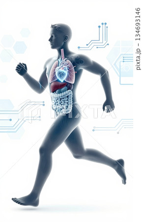 Futuristic 3D Illustration of Running Human Body with Glowing Organs and Digital Interface. 134693146
