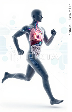 Futuristic 3D Illustration of Running Human Body with Glowing Organs and Digital Interface. 134693147