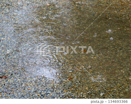 水溜まりに降る雨と波紋 水溜まりに降る雨と波紋 134693366