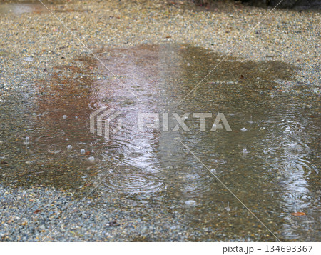 水溜まりに降る雨と波紋 134693367