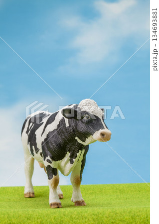 ホルスタイン 134693881