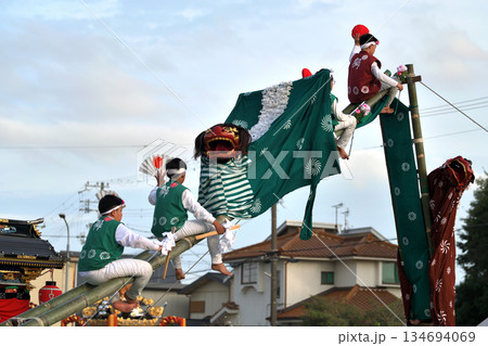 播州姫路の秋祭り 英賀神社の獅子舞 梯子獅子 播州姫路の秋祭り 英賀神社の獅子舞 梯子獅子 134694069