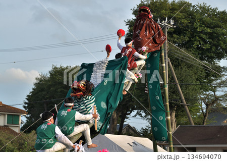 播州姫路の秋祭り　英賀神社の獅子舞　梯子獅子 134694070