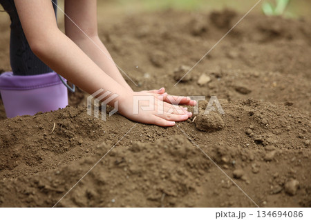 畑に種を植える女の子 畑に種を植える女の子 134694086