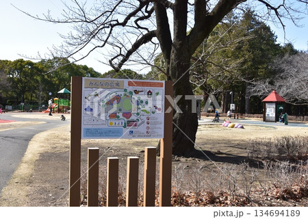 神奈川県 平塚市総合公園のみんなの広場 神奈川県 平塚市総合公園のみんなの広場 134694189