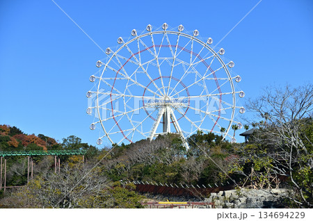 青空に映える観覧車 134694229