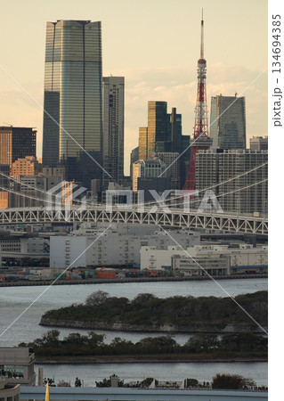 お台場　テレコムセンター　展望　2023年 134694385