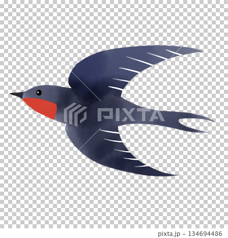 水彩風　空を飛ぶツバメのシンプルなイラスト　 134694486