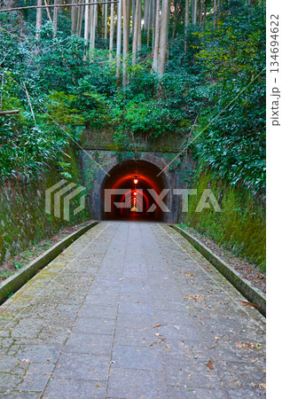 明治のトンネル　宇津ノ谷峠 134694622