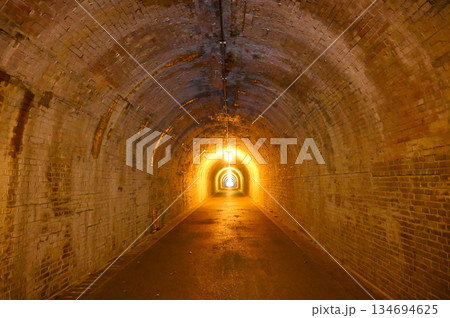 明治のトンネル　宇津ノ谷峠 134694625