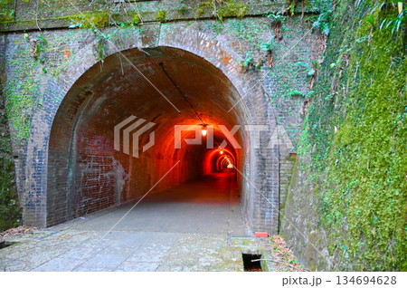明治のトンネル 宇津ノ谷峠 明治のトンネル 宇津ノ谷峠 134694628