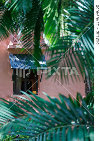 ホテルの部屋の窓とヤシの葉 134694660