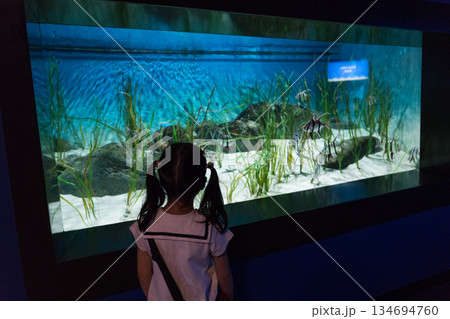 Singapore Oceanarium 134694760
