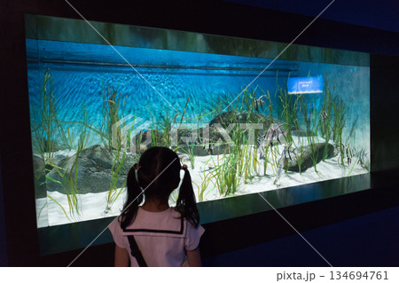 Singapore Oceanarium 134694761