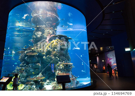 Singapore Oceanarium Singapore Oceanarium 134694769