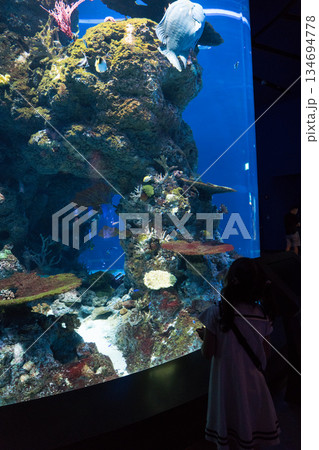 Singapore Oceanarium Singapore Oceanarium 134694778