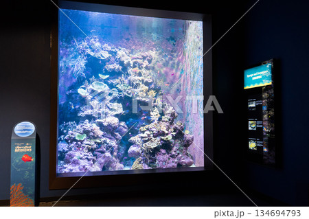 Singapore Oceanarium Singapore Oceanarium 134694793