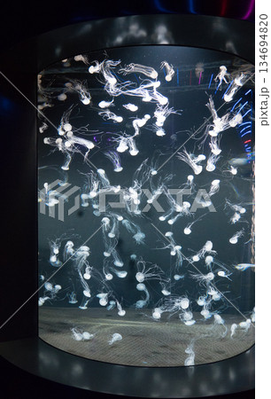 Singapore Oceanarium 134694820