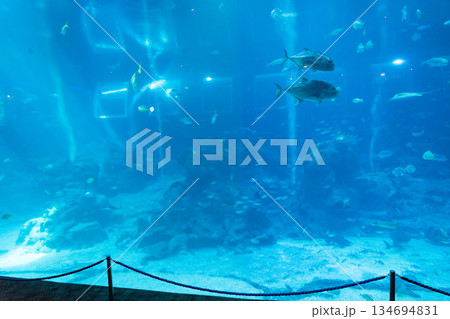 Singapore Oceanarium 134694831