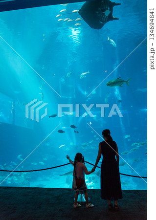 Singapore Oceanarium 134694841