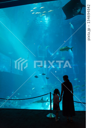 Singapore Oceanarium 134694842