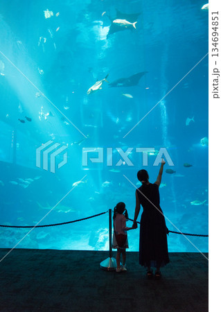Singapore Oceanarium 134694851