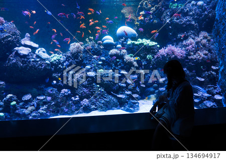 Singapore Oceanarium Singapore Oceanarium 134694917