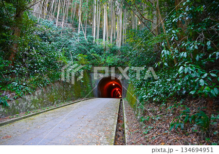 明治のトンネル　宇津ノ谷峠　静岡市 134694951