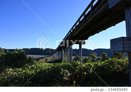 蓬莱橋 観光地 島田市 蓬莱橋 観光地 島田市 134695085