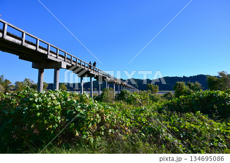 蓬莱橋 観光地 島田市 蓬莱橋 観光地 島田市 134695086