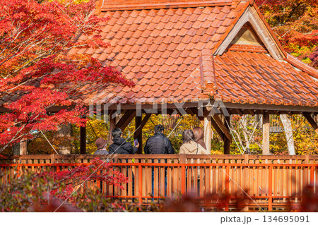 豊田市の大井平公園の風景(愛知県) 豊田市の大井平公園の風景(愛知県) 134695091