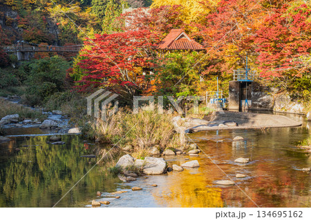 豊田市の大井平公園の風景(愛知県) 豊田市の大井平公園の風景(愛知県) 134695162