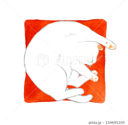 座布団の上で丸くなって寝る白猫　ペット・動物の手描き水彩イラスト素材 134695205