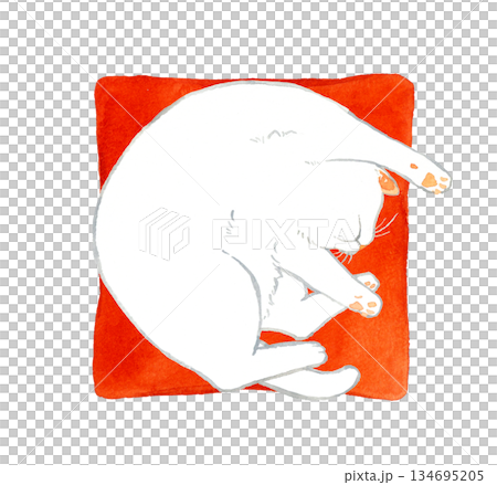 座布団の上で丸くなって寝る白猫　ペット・動物の手描き水彩イラスト素材 134695205