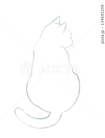 背中を向けて座る白猫　ペット・動物の手描き水彩イラスト素材 134695209