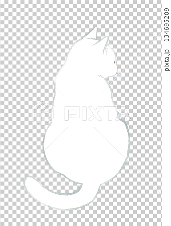 背中を向けて座る白猫　ペット・動物の手描き水彩イラスト素材 134695209
