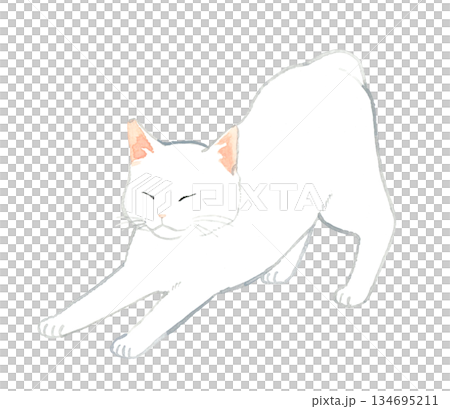 伸展身體的白貓 - 手繪水彩寵物和動物插圖 伸展身體的白貓 - 手繪水彩寵物和動物插圖 134695211