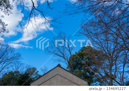 屋根と林 134695227