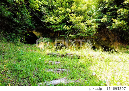 鍛冶ケ谷市民の森　宮ノ前横穴墓群 134695297