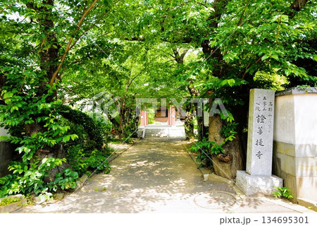 證菩提寺 134695301
