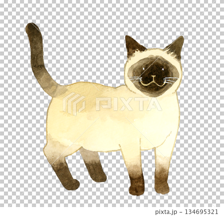站立的暹羅貓 - 手繪水彩寵物和動物插畫 站立的暹羅貓 - 手繪水彩寵物和動物插畫 134695321