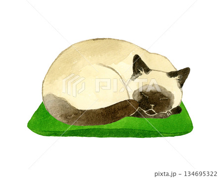 座布団の上で丸くなって寝るシャム猫 ペット・動物の手描き水彩イラスト素材 座布団の上で丸くなって寝るシャム猫 ペット・動物の手描き水彩イラスト素材 134695322