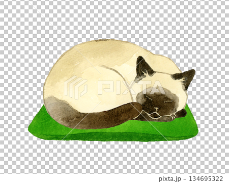 座布団の上で丸くなって寝るシャム猫 ペット・動物の手描き水彩イラスト素材 座布団の上で丸くなって寝るシャム猫 ペット・動物の手描き水彩イラスト素材 134695322