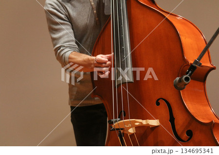 コントラバスの演奏をする男性 134695341
