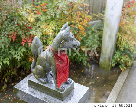 雨に濡れた稲荷神社の狛狐 雨に濡れた稲荷神社の狛狐 134695521