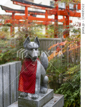 雨に濡れた稲荷神社の狛狐 134695522