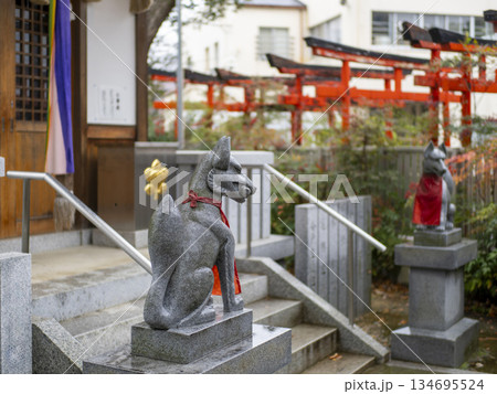 雨に濡れた稲荷神社の狛狐 134695524