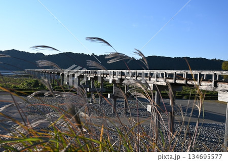 蓬莱橋 秋 島田市 蓬莱橋 秋 島田市 134695577